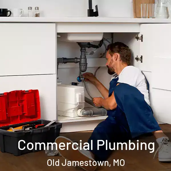  Commercial Plumbing Old Jamestown, MO